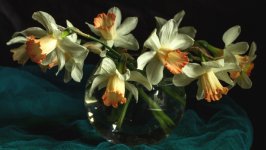 Desktop image. Flowers. ID:106284