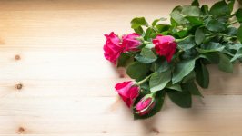 Desktop image. Flowers. ID:106432