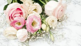 Desktop image. Flowers. ID:106861