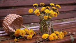 Desktop image. Flowers. ID:106979