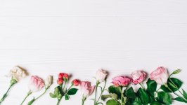 Desktop image. Flowers. ID:106981
