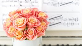Desktop image. Flowers. ID:107163