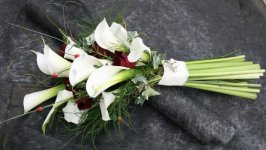 Desktop image. Flowers. ID:107234