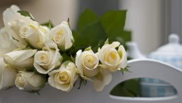 Desktop image. Flowers. ID:107622