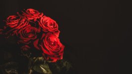Desktop image. Flowers. ID:107754