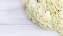 Desktop image. Flowers. ID:107774