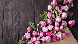 Desktop image. Flowers. ID:107949