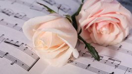 Desktop image. Flowers. ID:107954