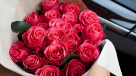 Desktop image. Flowers. ID:107957