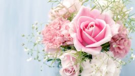 Desktop image. Flowers. ID:108800