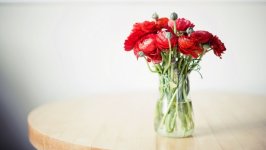 Desktop image. Flowers. ID:109021