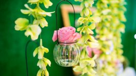 Desktop image. Flowers. ID:109660