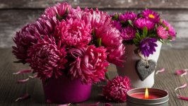 Desktop image. Flowers. ID:132366