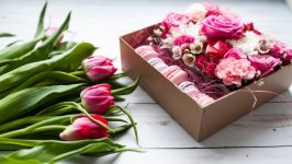Desktop image. Flowers. ID:111200