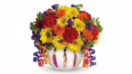 Desktop image. Flowers. ID:112067