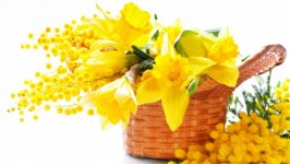 Desktop image. Flowers. ID:112342