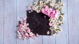 Desktop image. Flowers. ID:112898
