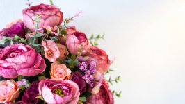 Desktop image. Flowers. ID:115434