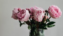 Desktop image. Flowers. ID:116021