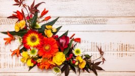 Desktop image. Flowers. ID:116137
