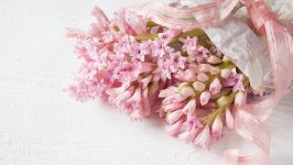 Desktop image. Flowers. ID:118418