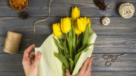 Desktop image. Flowers. ID:118595