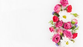 Desktop image. Flowers. ID:119239