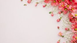 Desktop image. Flowers. ID:120811