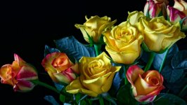 Desktop image. Flowers. ID:121497