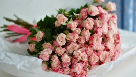 Desktop image. Flowers. ID:122478