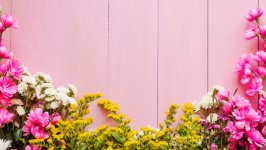 Desktop image. Flowers. ID:123112