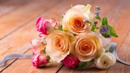 Desktop image. Flowers. ID:123645