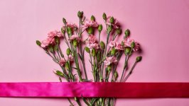 Desktop image. Flowers. ID:145873