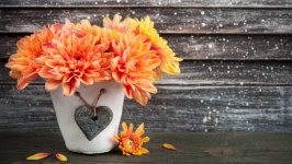 Desktop image. Flowers. ID:125643