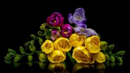 Desktop image. Flowers. ID:126767
