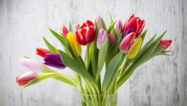 Desktop image. Flowers. ID:128625