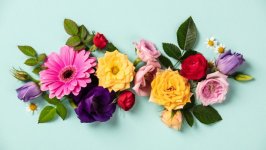 Desktop image. Flowers. ID:129195