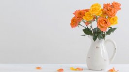 Desktop image. Flowers. ID:129283