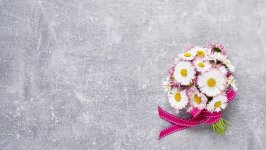 Desktop image. Flowers. ID:129996