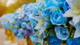 Desktop image. Flowers. ID:130307