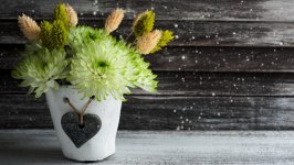 Desktop image. Flowers. ID:130341