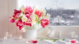 Desktop image. Flowers. ID:130371