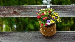 Desktop image. Flowers. ID:130918