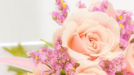 Desktop image. Flowers. ID:130959