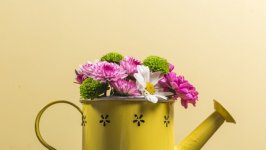 Desktop image. Flowers. ID:133663