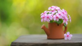 Desktop image. Flowers. ID:131712
