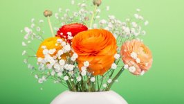 Desktop image. Flowers. ID:131903