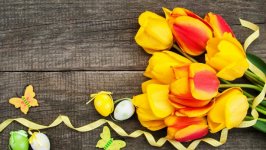 Desktop image. Flowers. ID:134072