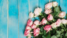 Desktop image. Flowers. ID:135200