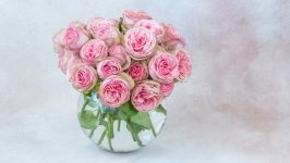 Desktop image. Flowers. ID:135245